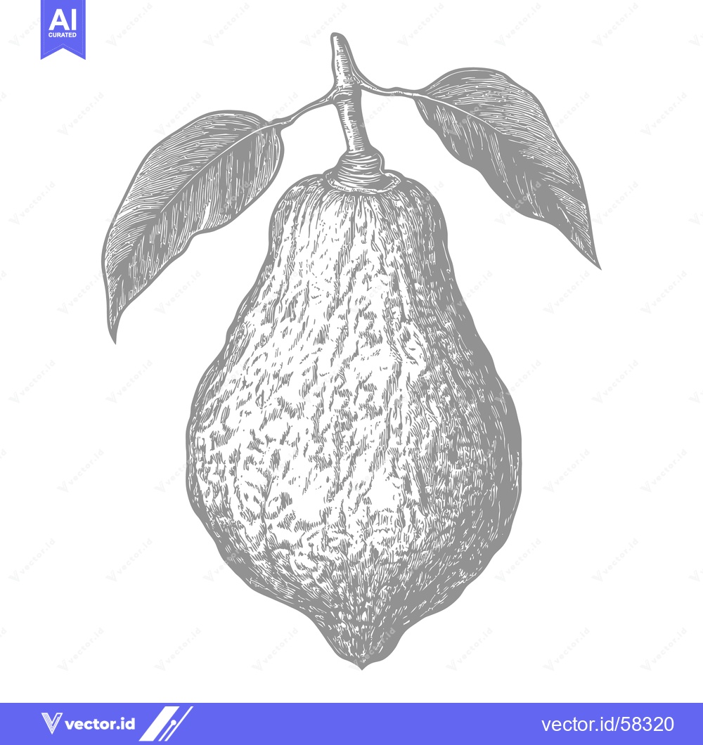 Premium Vector of A hand drawn illustration of a pear shaped fruit with leaves