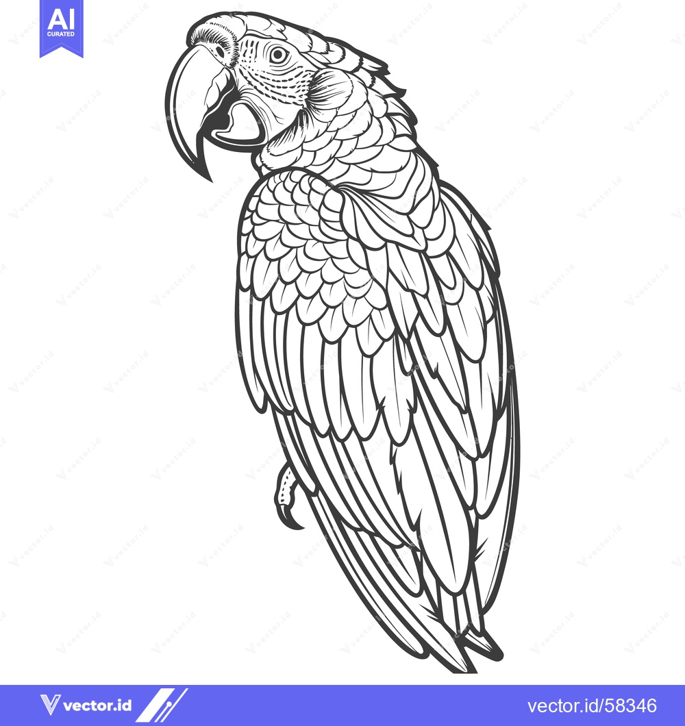 Premium Vector dari A Detailed Black and White Line Drawing of a Parrot