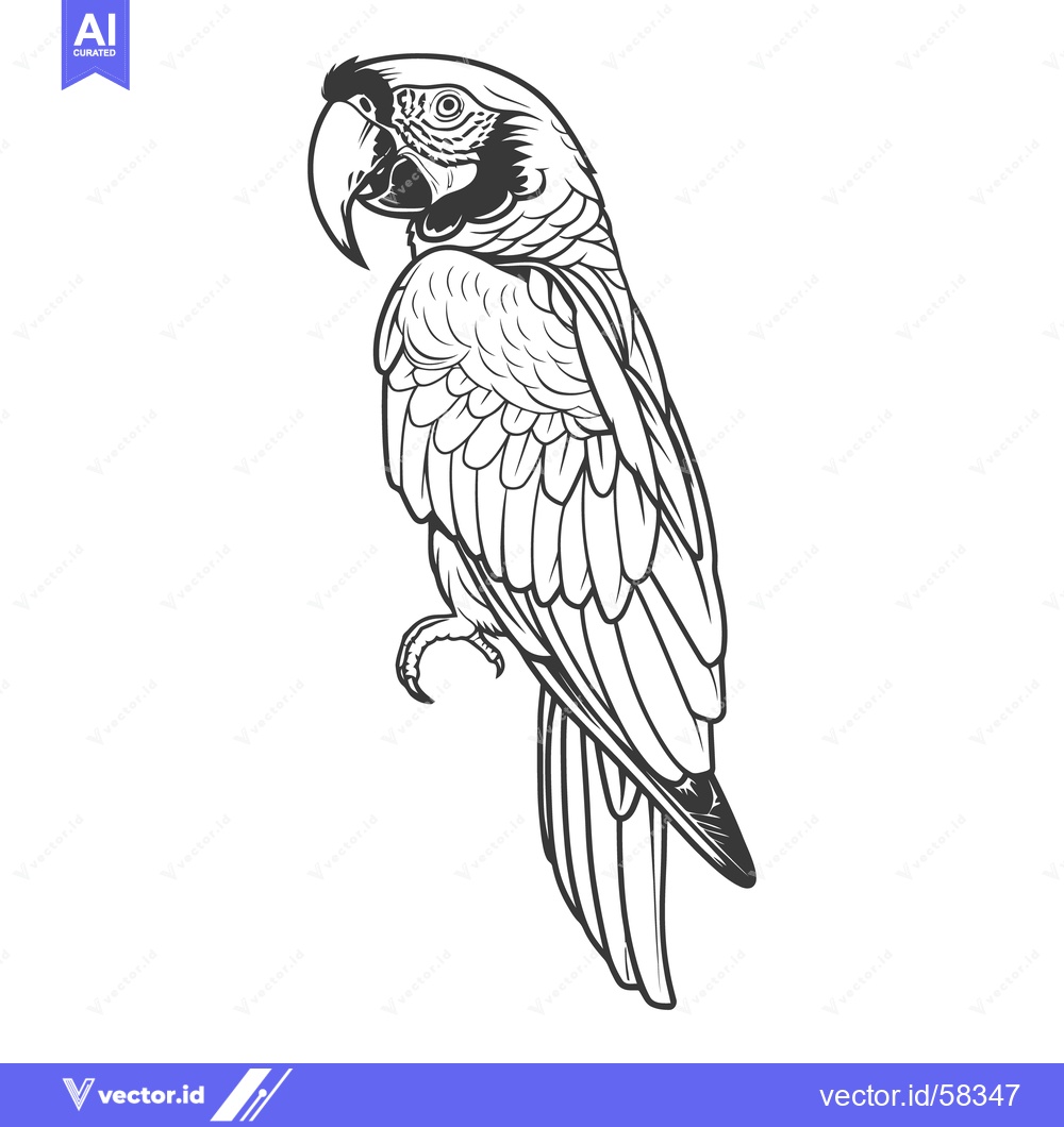 Premium Vector of A detailed illustration depicts an upright parrot in black and white