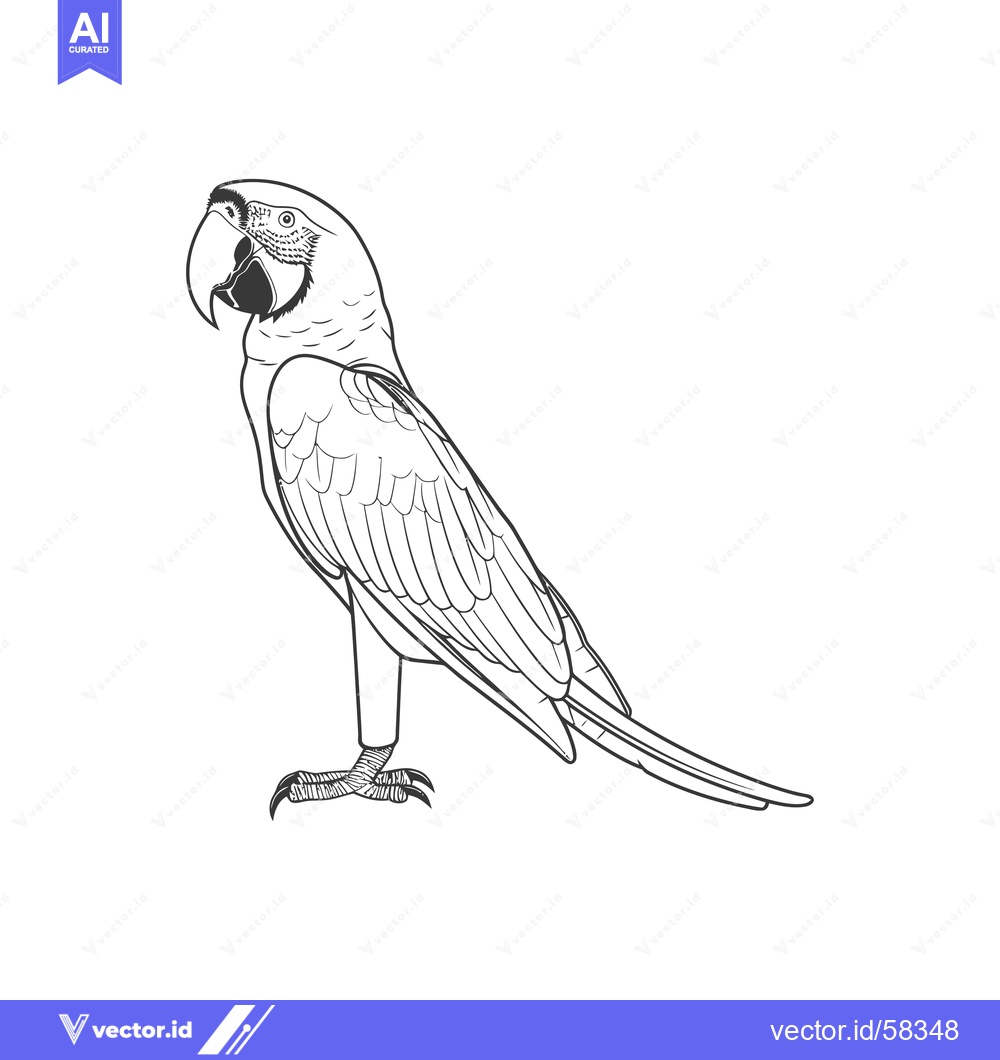 Premium Vector dari A black and white line drawing of a parrot facing left
