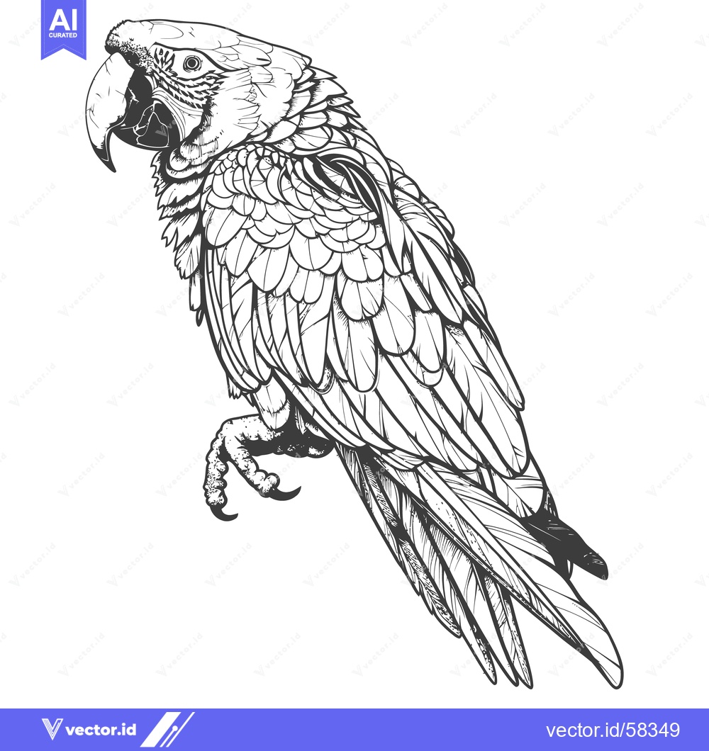Premium Vector of Detailed black and white drawing of a vibrant parrot