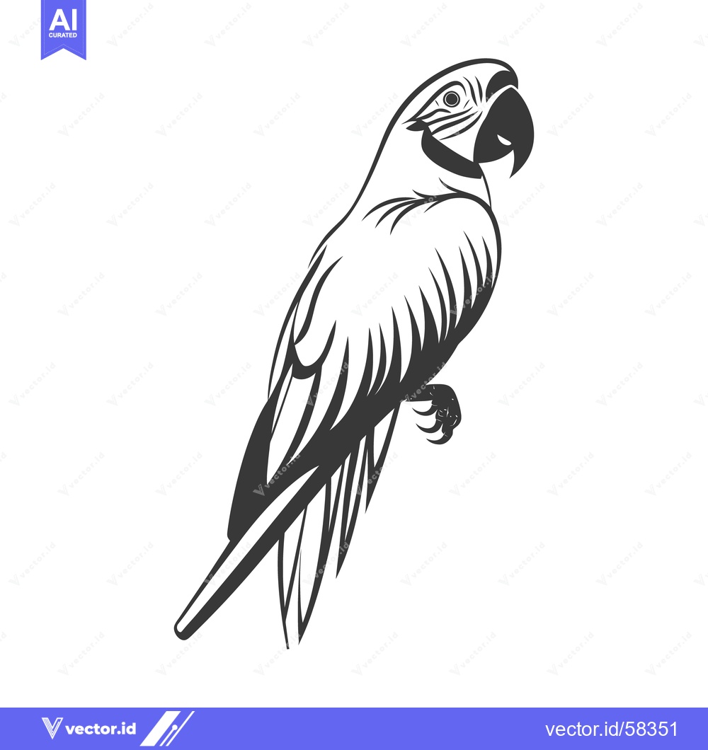 Premium Vector of A detailed grayscale illustration of a tropical parrot standing calmly