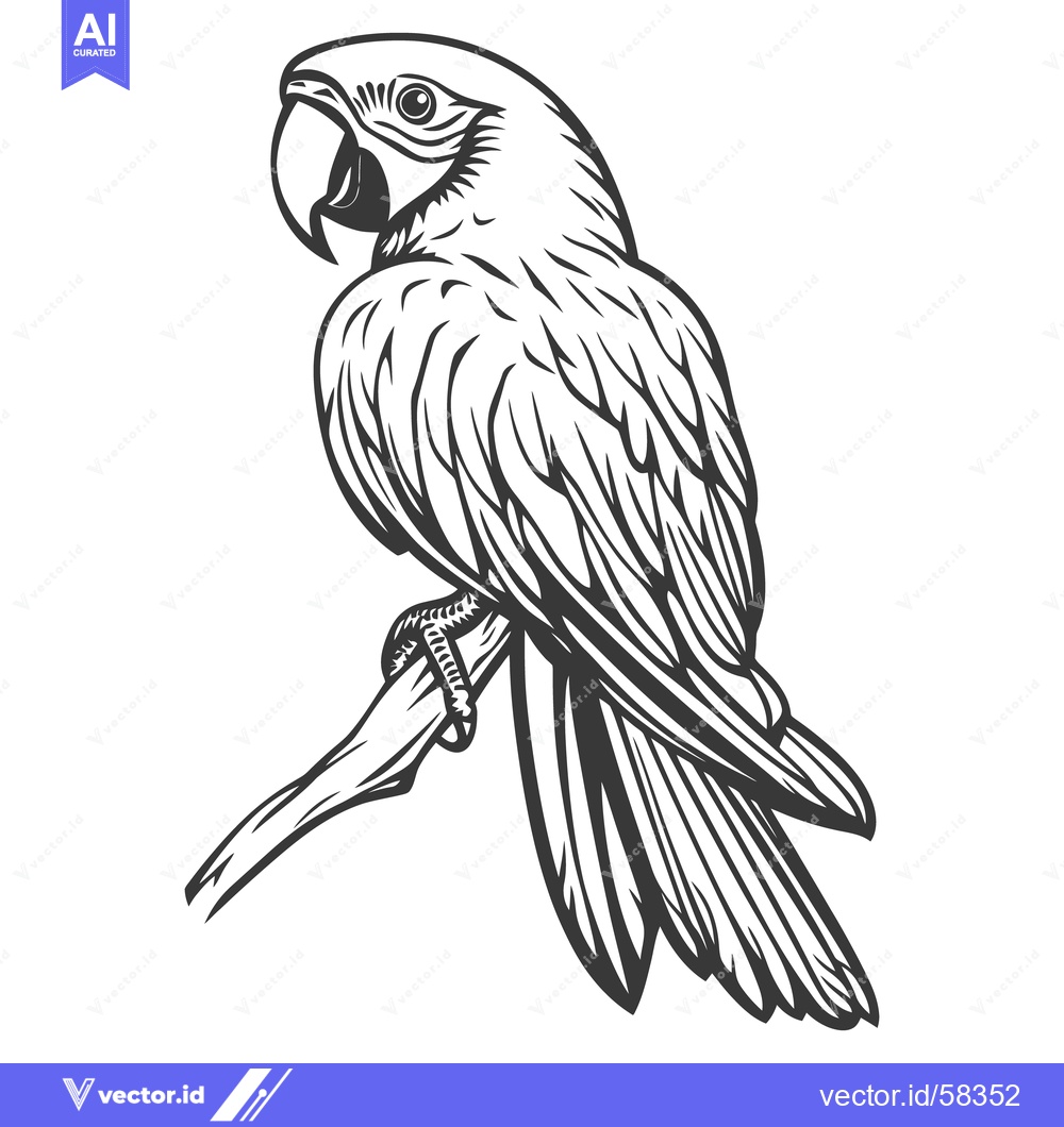Premium Vector dari A detailed monochrome line drawing of a parrot on a branch