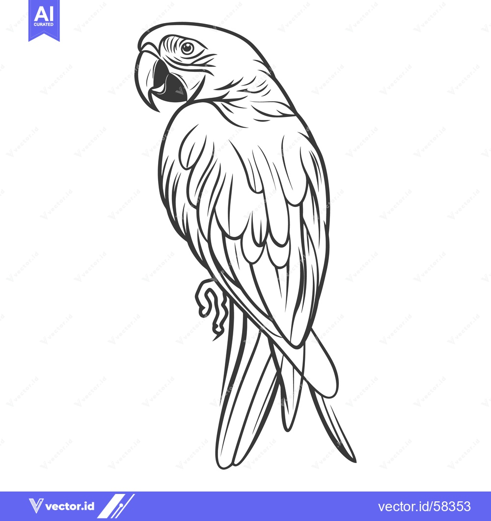 Premium Vector dari A detailed line drawing depicting a perched tropical parrot bird
