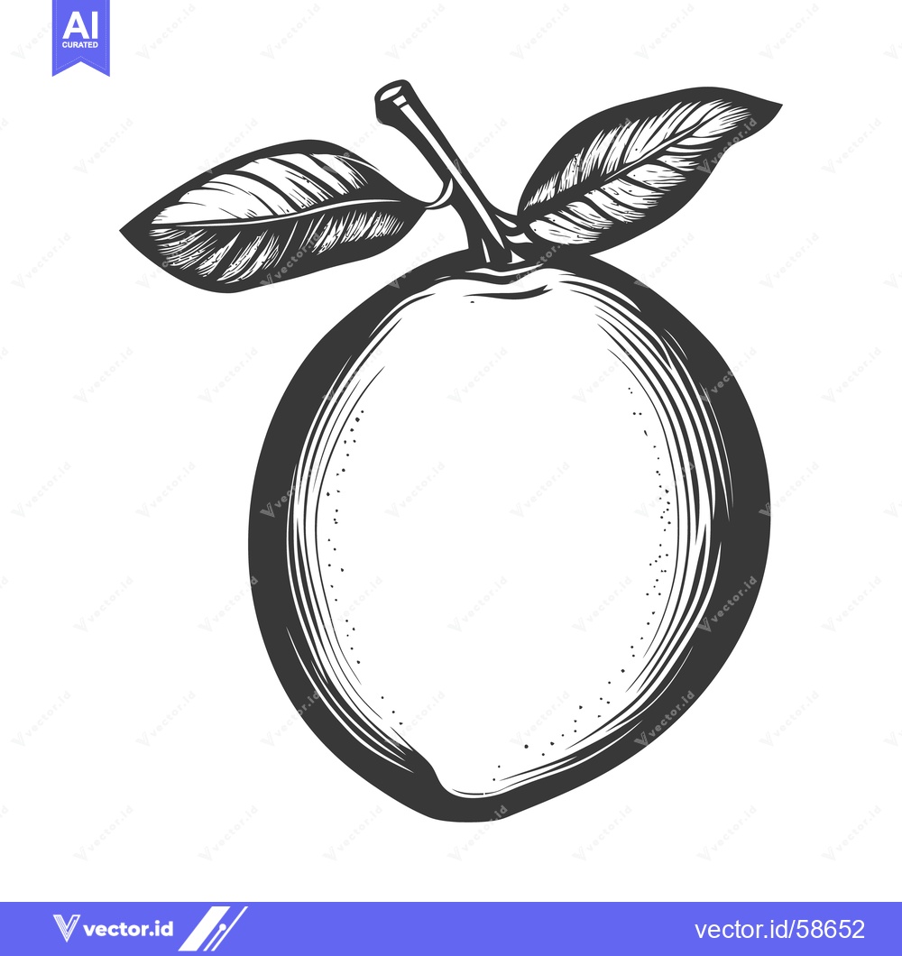 Premium Vector of An illustration depicting a monochrome fruit with two leaves on a stem