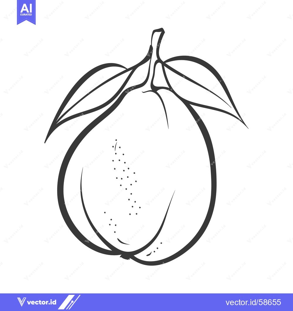 Premium Vector dari A detailed monochrome illustration featuring an organic fruit and leav