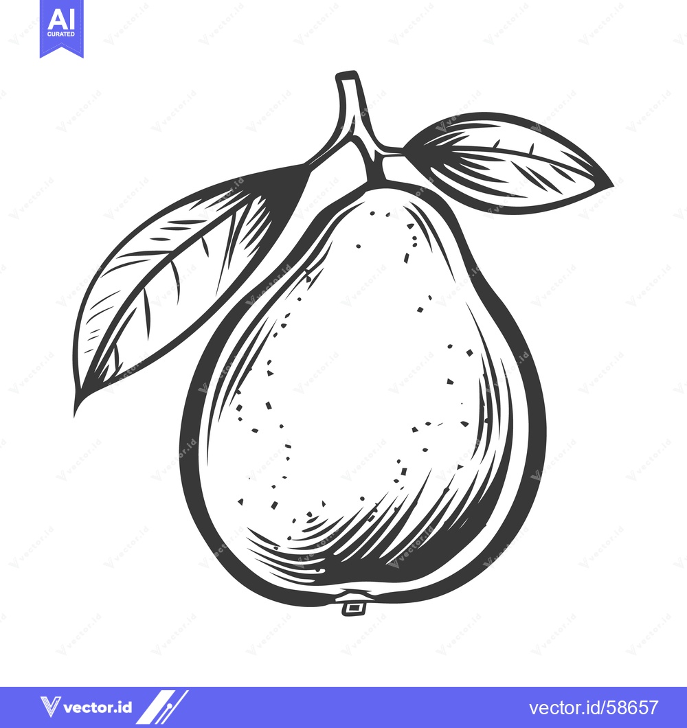 Premium Vector dari A detailed ink illustration of a pear with leaves