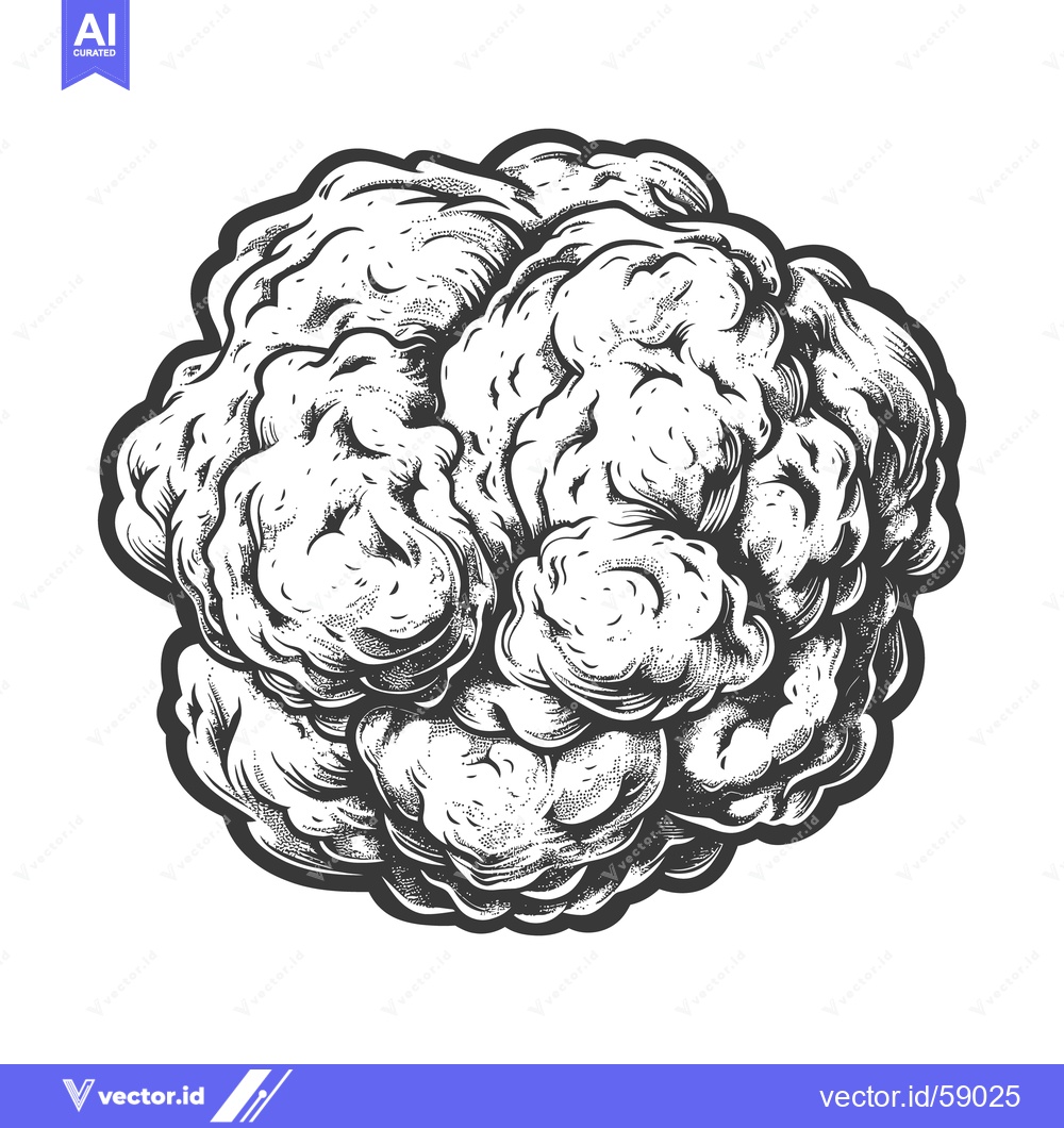 Premium Vector dari Artistic Rendering Illustrates a Human Brain Anatomical Study Image