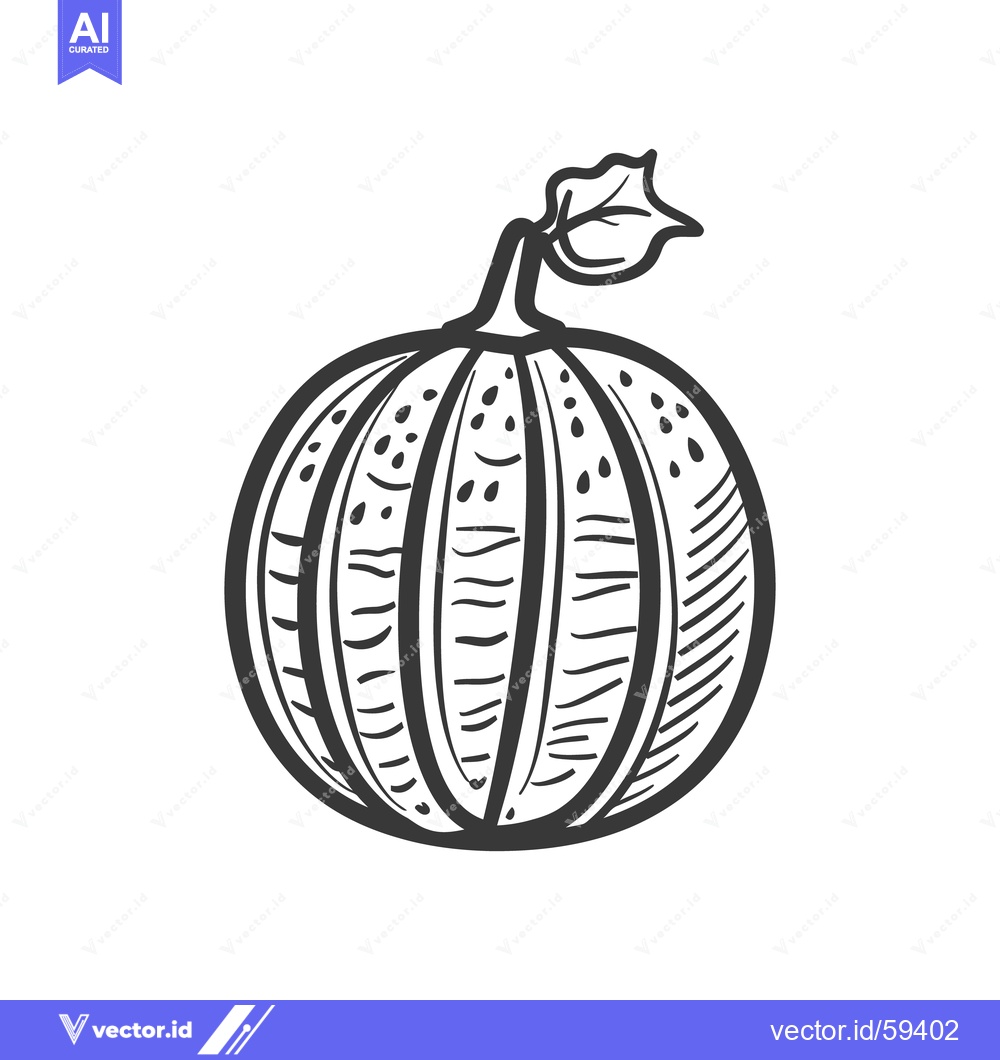 Premium Vector dari A simple line drawing illustration showing a rounded squash vegetable