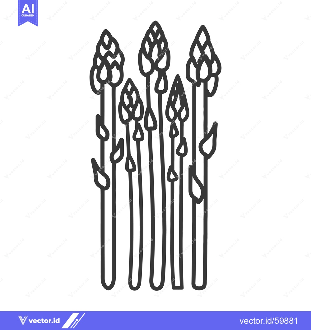 Premium Vector dari Line drawing of several asparagus spears