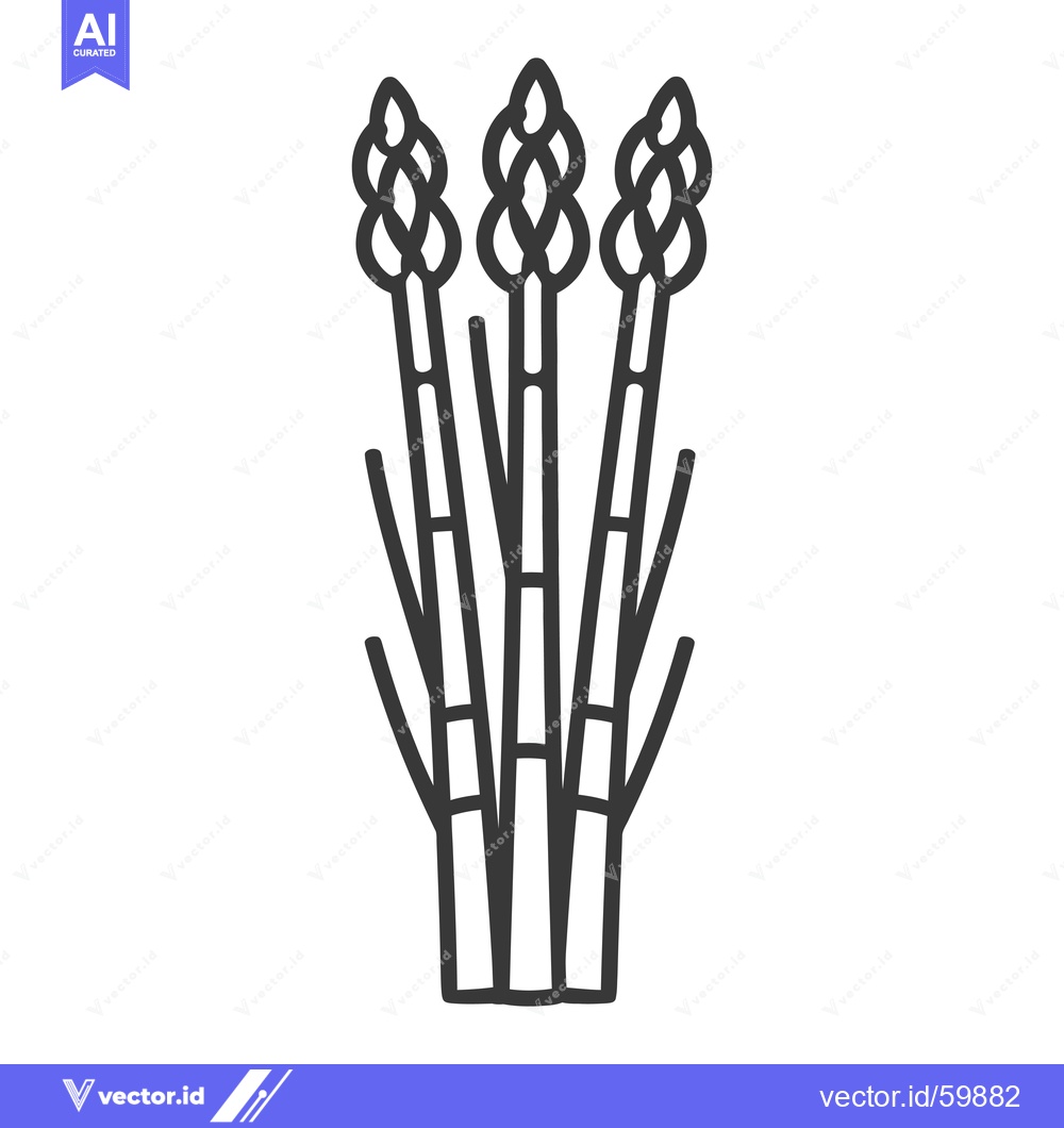 Premium Vector dari Three stalks of fresh asparagus are shown together