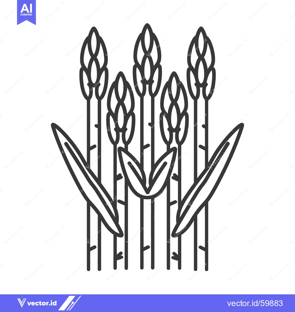 Premium Vector dari Asparagus stalks illustration showing a healthy crop