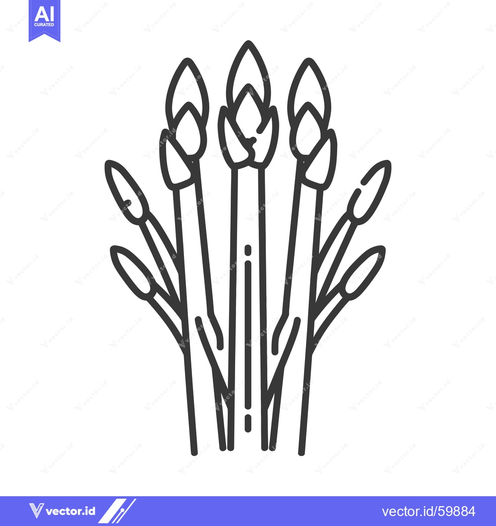 Premium Vector dari Asparagus stalks with emerging buds display vibrant growth