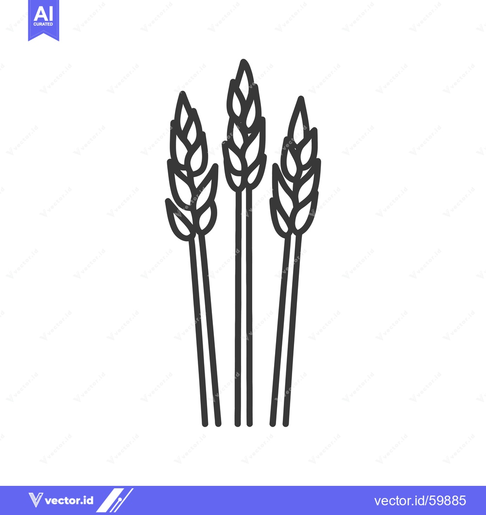 Premium Vector of Three stalks of wheat stand tall together