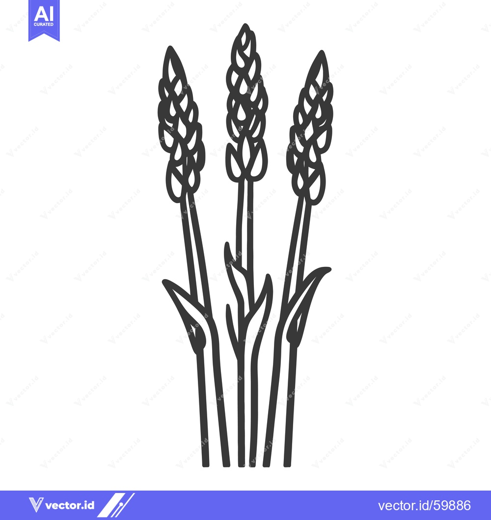 Premium Vector dari Three stylized wheat stalks stand tall together