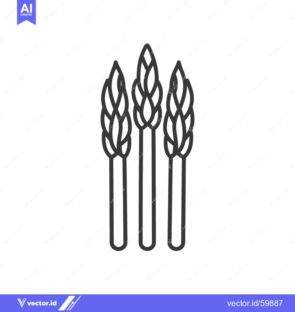 Premium Vector of Three Asparagus Spears Line Art Illustration