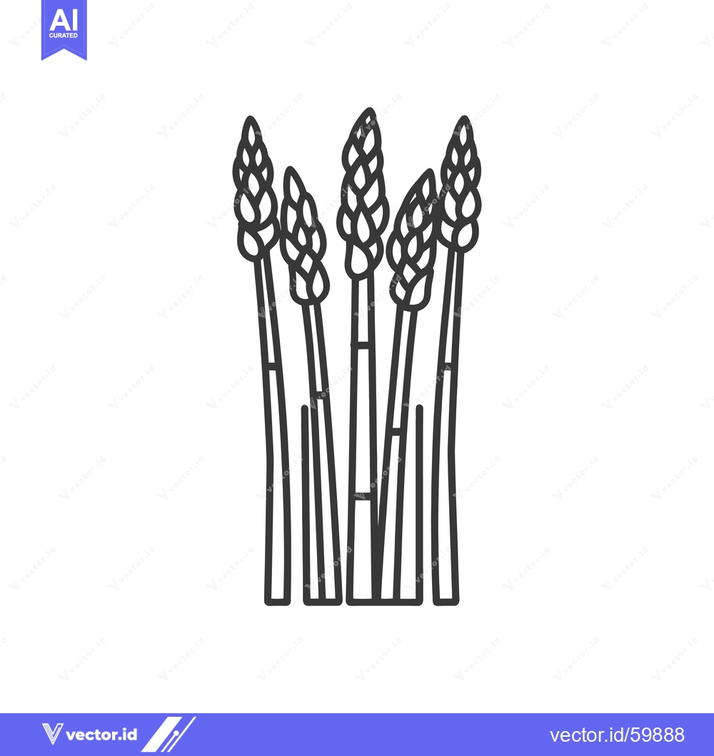 Premium Vector dari Line drawing of several asparagus spears