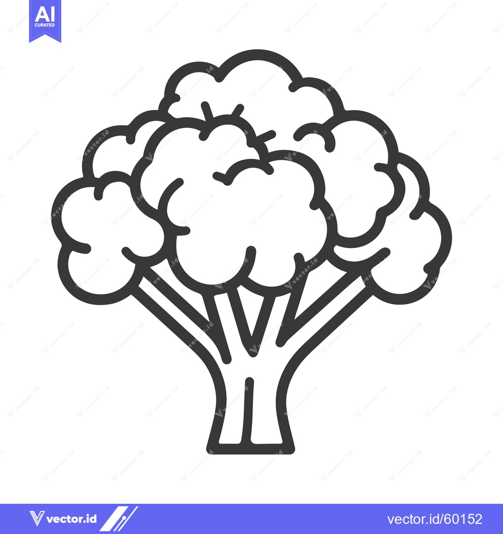 Premium Vector dari Line art drawing of a broccoli vegetable