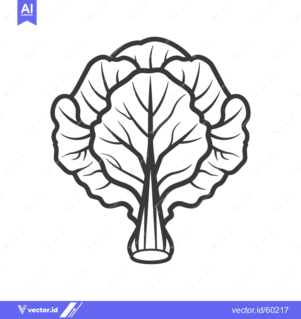 Premium Vector dari A Simple Line Drawing Of A Cabbage Head
