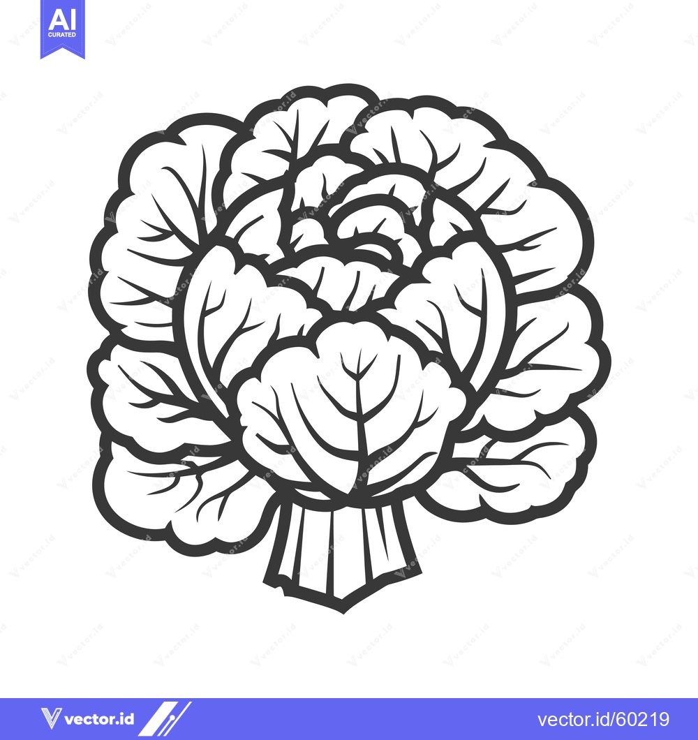 Premium Vector dari A stylized illustration of a cabbage head