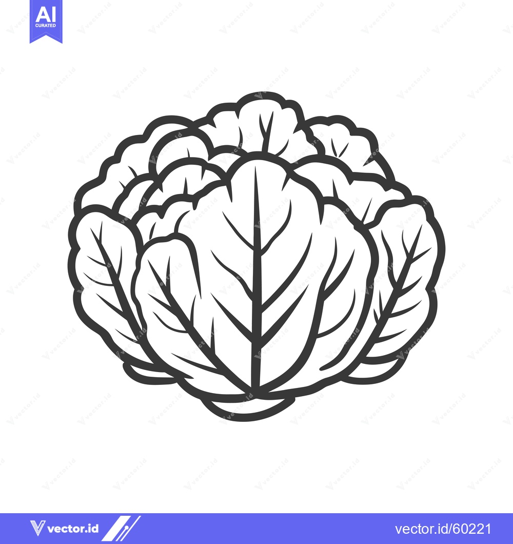 Premium Vector dari A Simple Line Drawing Of A Cabbage Head