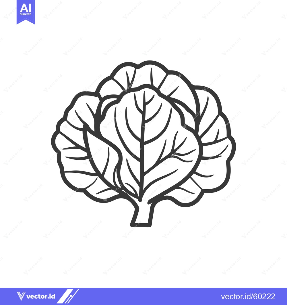 Premium Vector of A Simple Line Drawing Of A Cabbage Vegetable