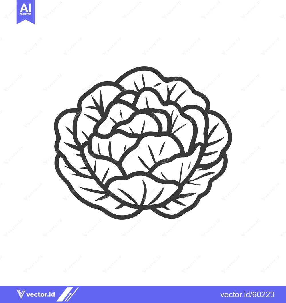 Premium Vector dari Simple Line Drawing Of A Cabbage Head