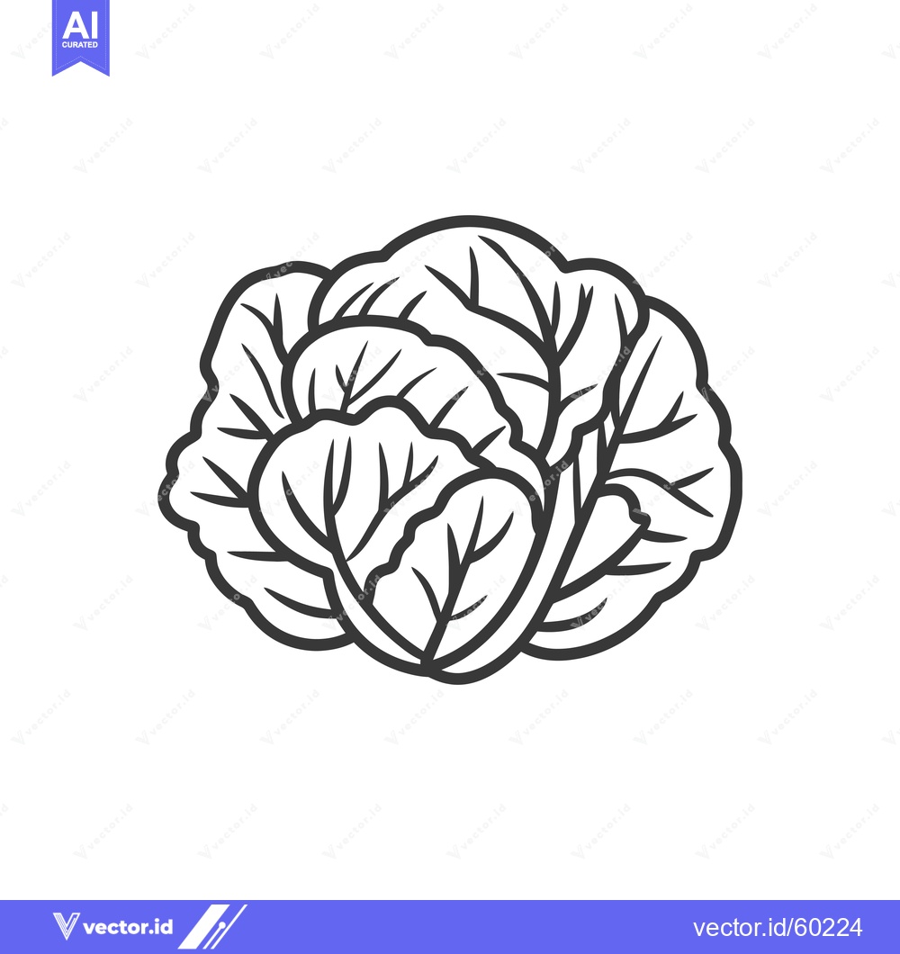 Premium Vector dari A Simple Line Drawing Of A Head Of Cabbage