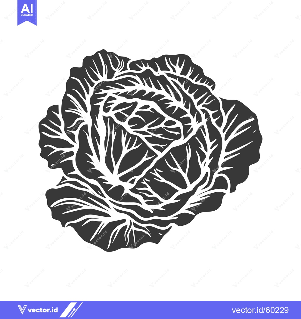 Premium Vector of A stylized graphic illustration of a cabbage