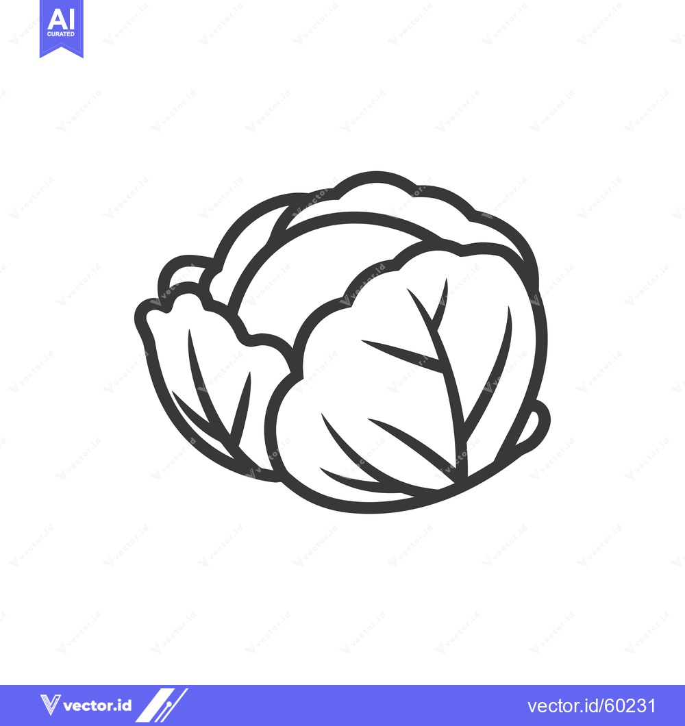 Premium Vector of Simple Line Drawing Of A Cabbage Vegetable