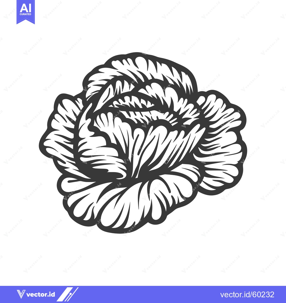 Premium Vector of Intricate Detailed Black And White Rose Illustration