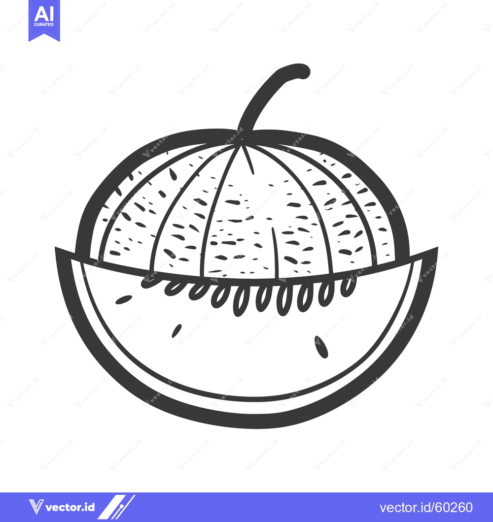 Premium Vector dari A whole melon and a slice of watermelon