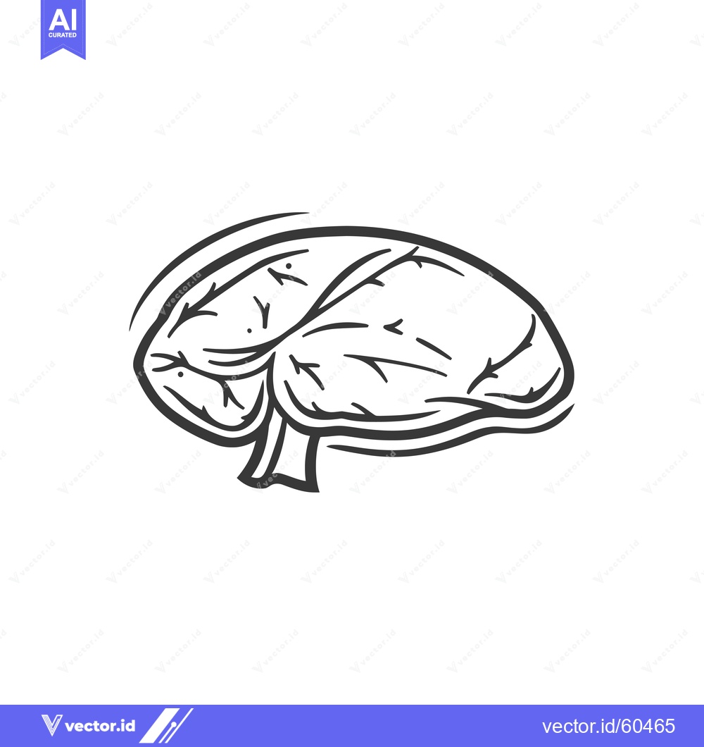 Premium Vector dari Hand Drawn Sketch of a Human Brain