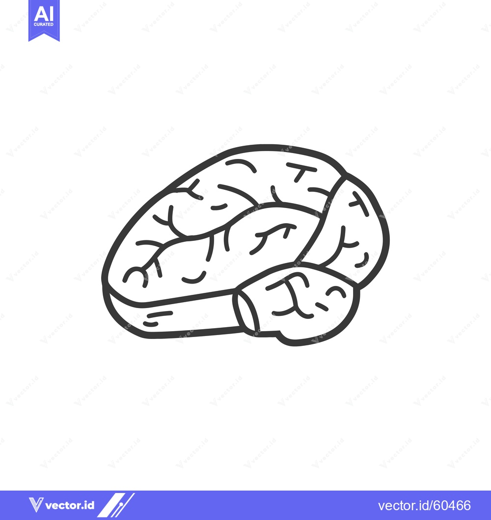 Premium Vector of Line Drawing of a Human Brain Showing Its Lobes