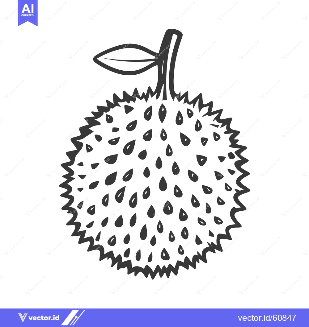 Premium Vector dari A Line Drawing Of A Durian Fruit With A Leaf