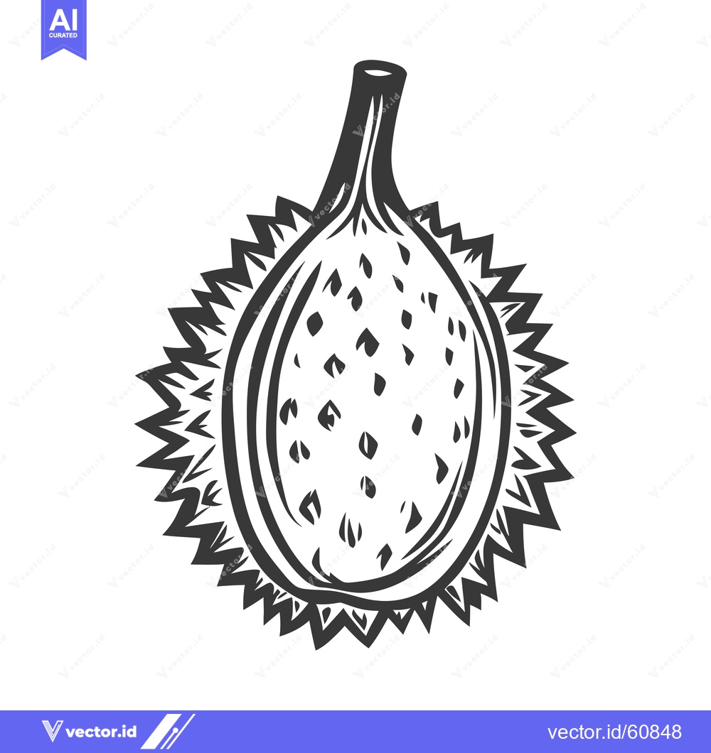 Premium Vector dari A Detailed Drawing of a Durian Fruit