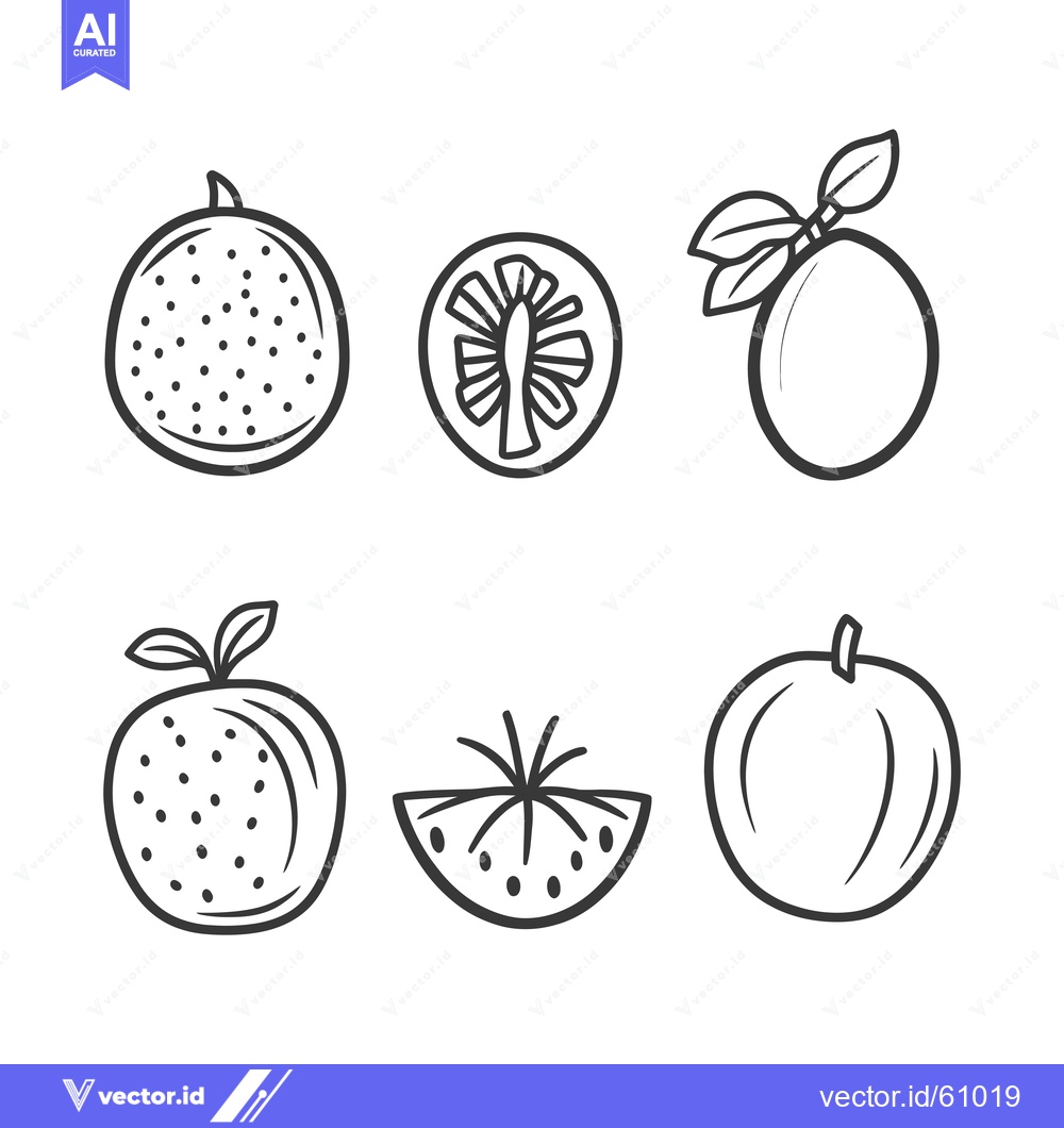 Premium Vector dari Simple Line Drawings Of Whole And Halved Citrus Fruits