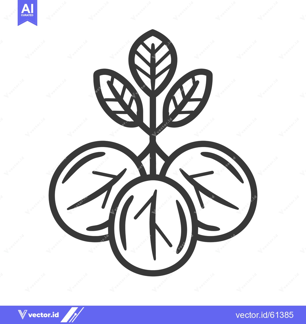 Premium Vector dari A stylized illustration depicting three round fruits and leaves