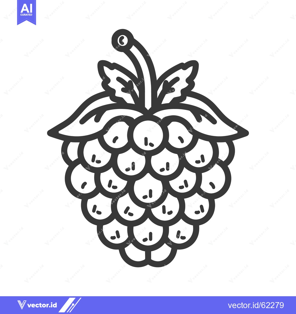 Premium Vector dari Black and white outline illustration of a ripe raspberry plant
