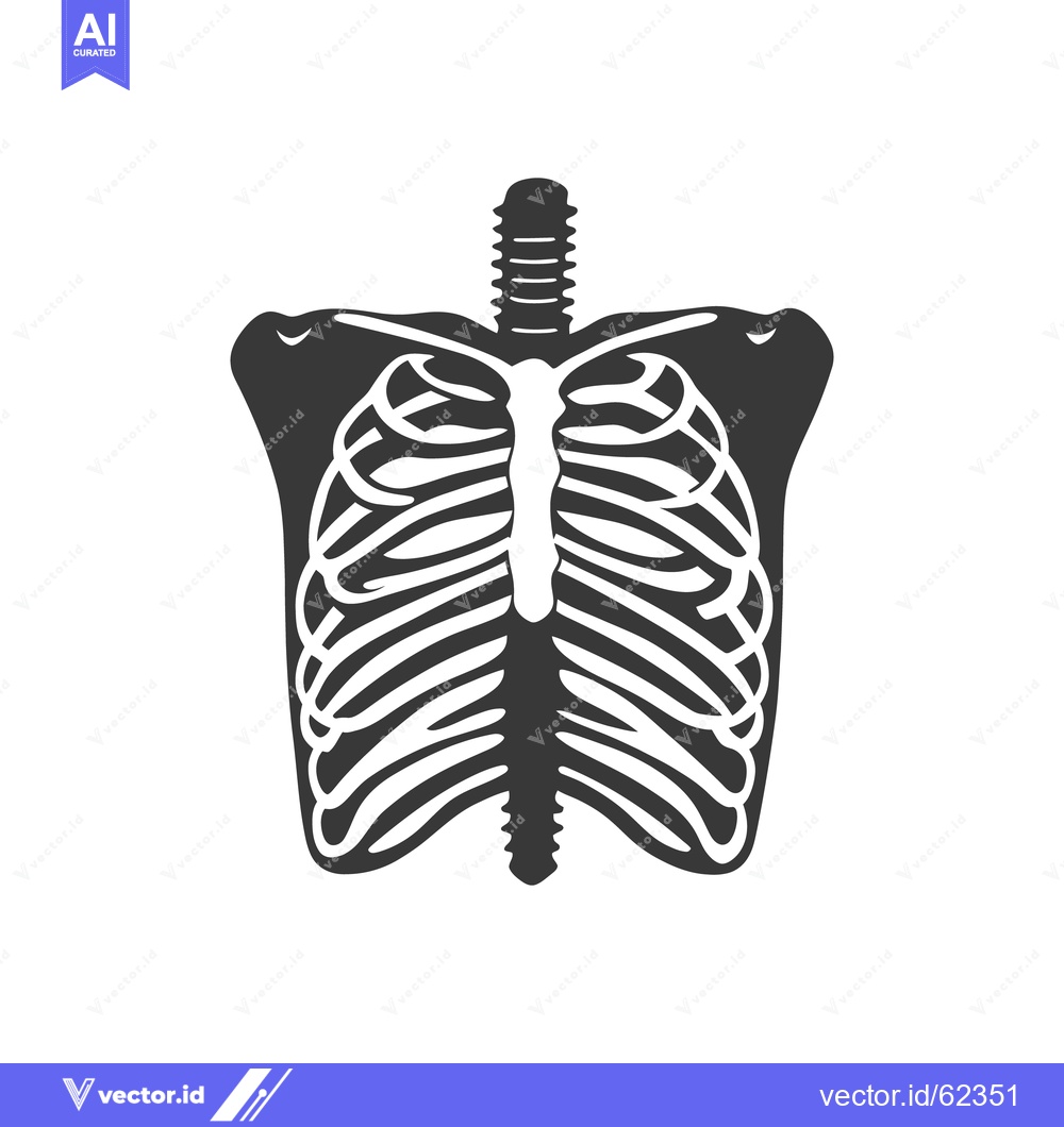 Premium Vector dari A Monochrome Artistic Illustration Of The Human Thoracic Skeleton