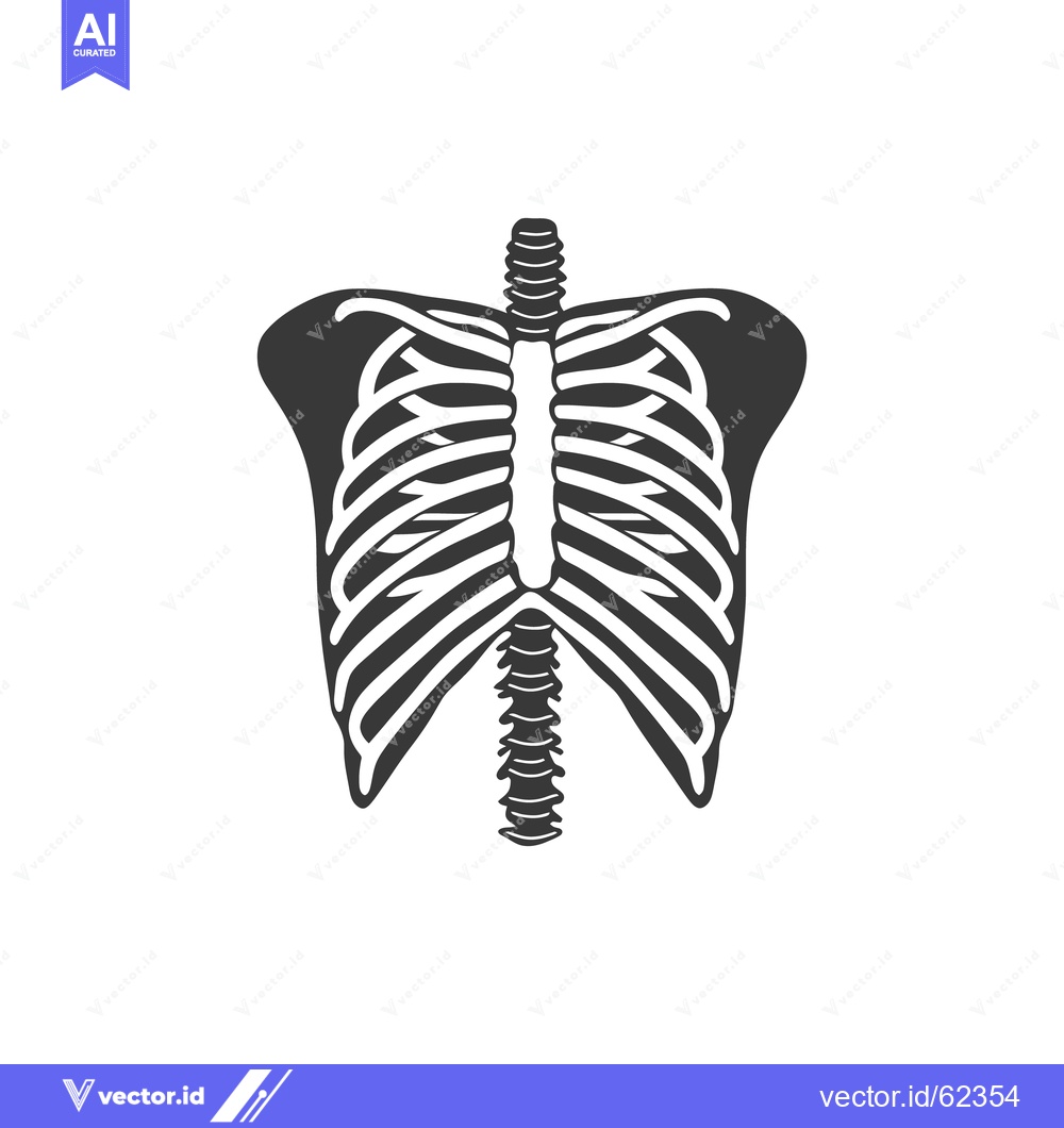 Premium Vector dari An anatomical illustration depicting a human torso skeletal structure
