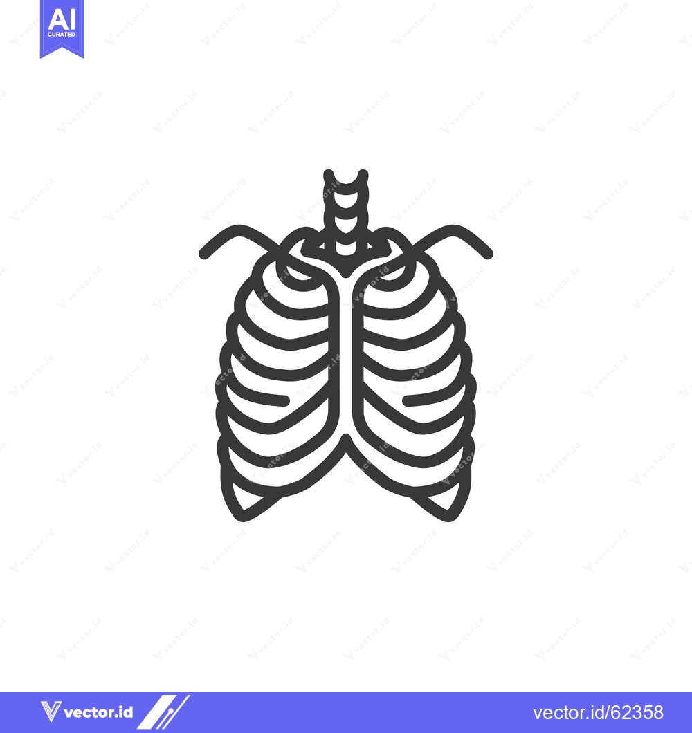 Premium Vector dari A simplified diagram of the human rib cage structure
