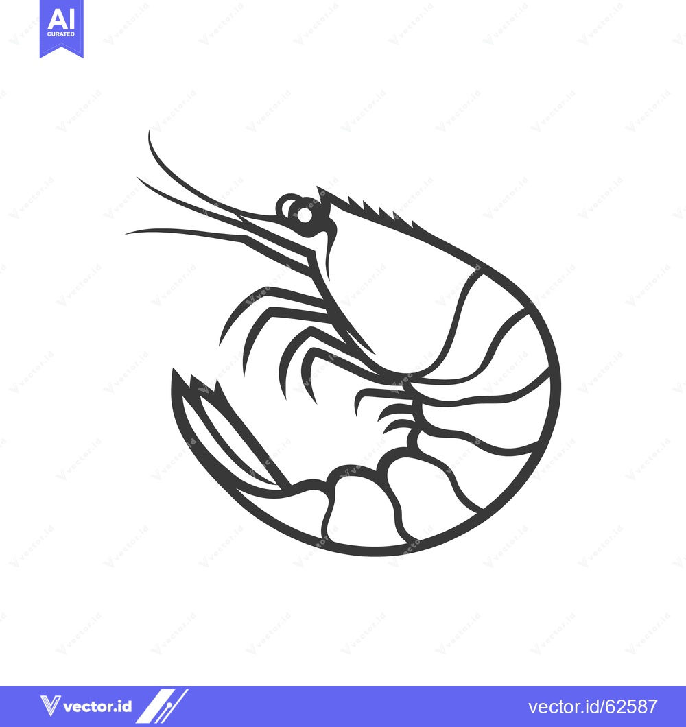 Premium Vector dari A detailed black and white illustration depicting a curled shrimp