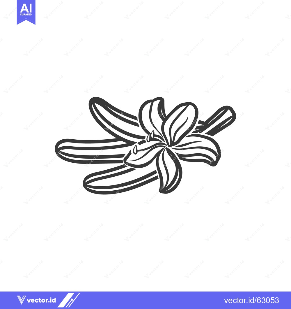 Premium Vector of A simple black line drawing of vanilla flowers and pods