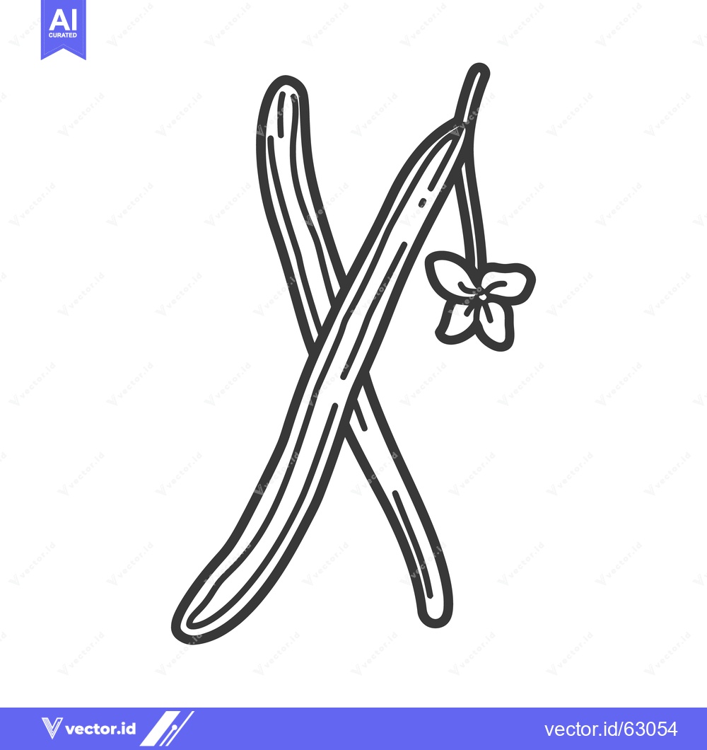 Premium Vector dari A linear sketch depicting vanilla beans with a flower attached