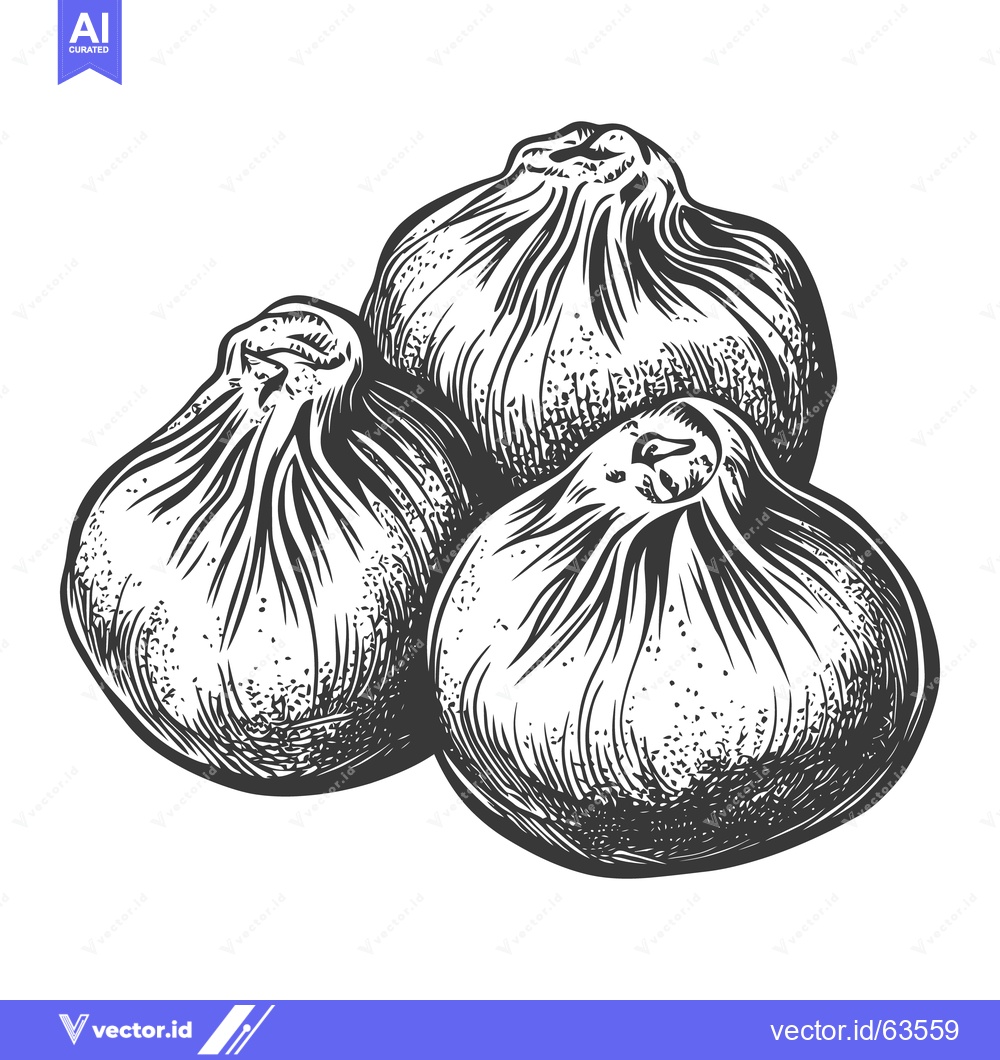 Premium Vector of Three fresh figs presented in a detailed illustration style