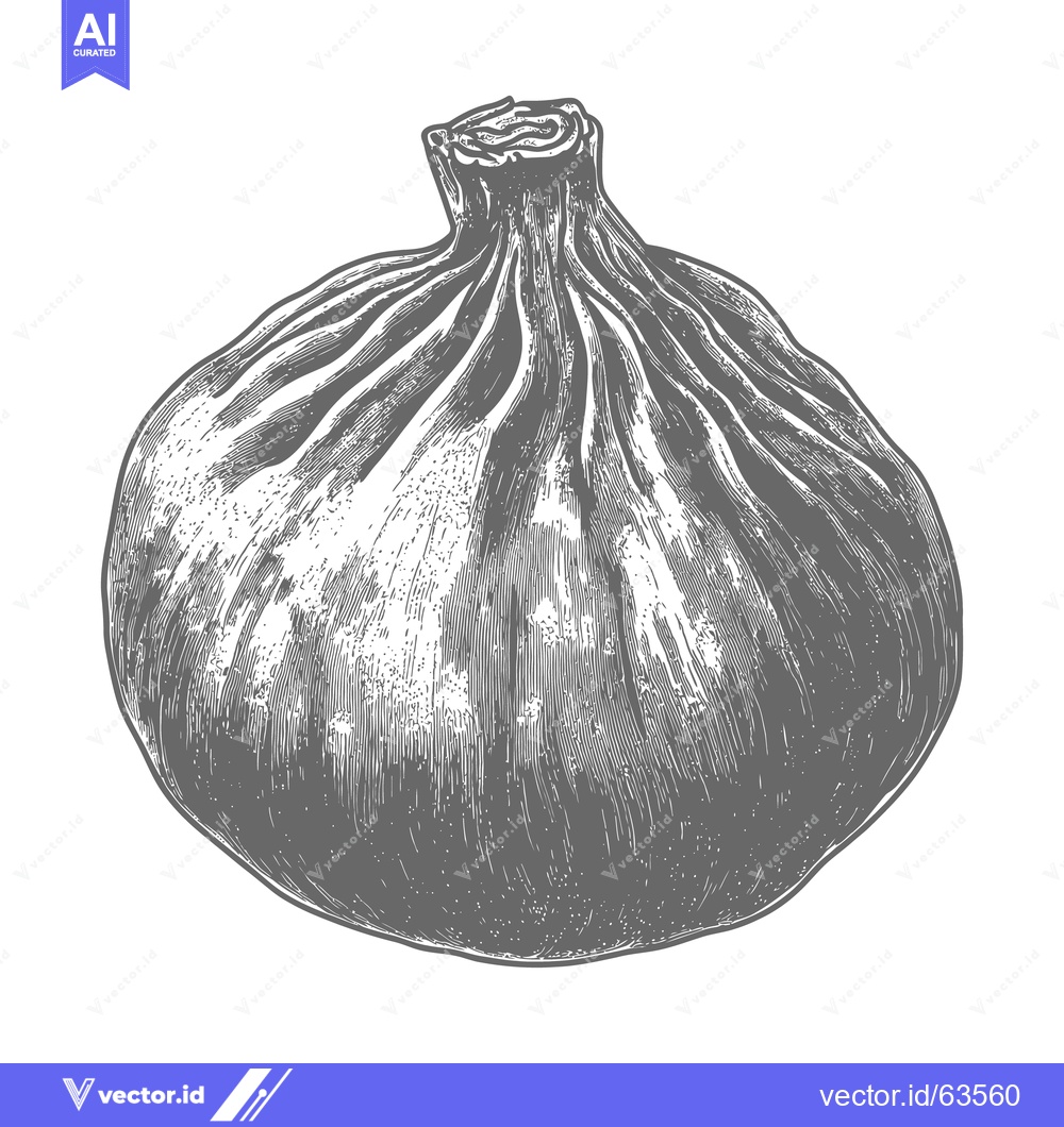 Premium Vector dari A detailed monochrome illustration of a plump ripe fig on white