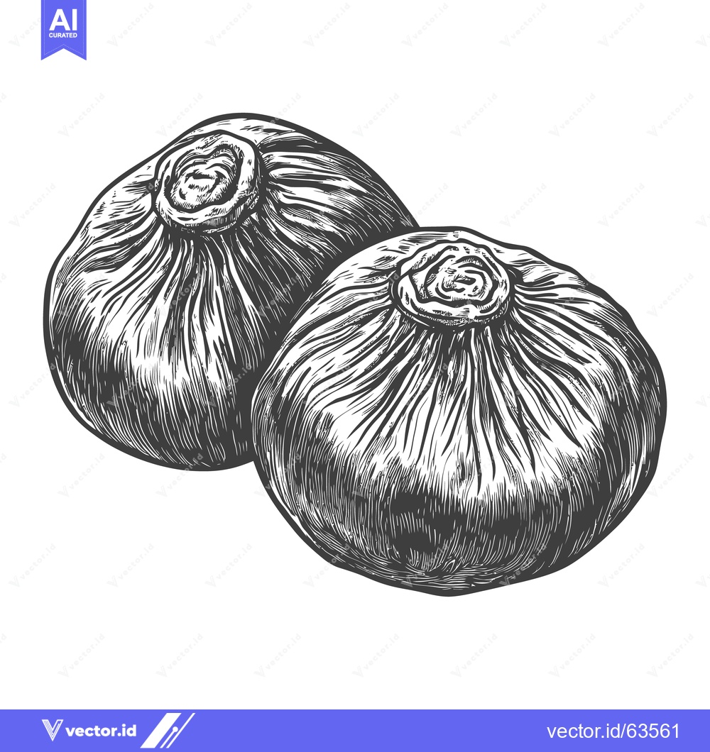 Premium Vector of Two figs illustrated in a vintage style black and white drawing