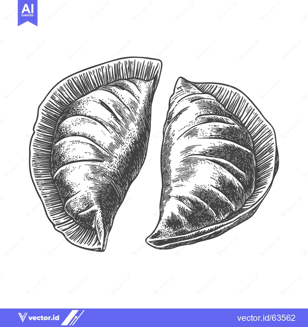 Premium Vector of Two hand drawn illustrations of cooked dumpling halves