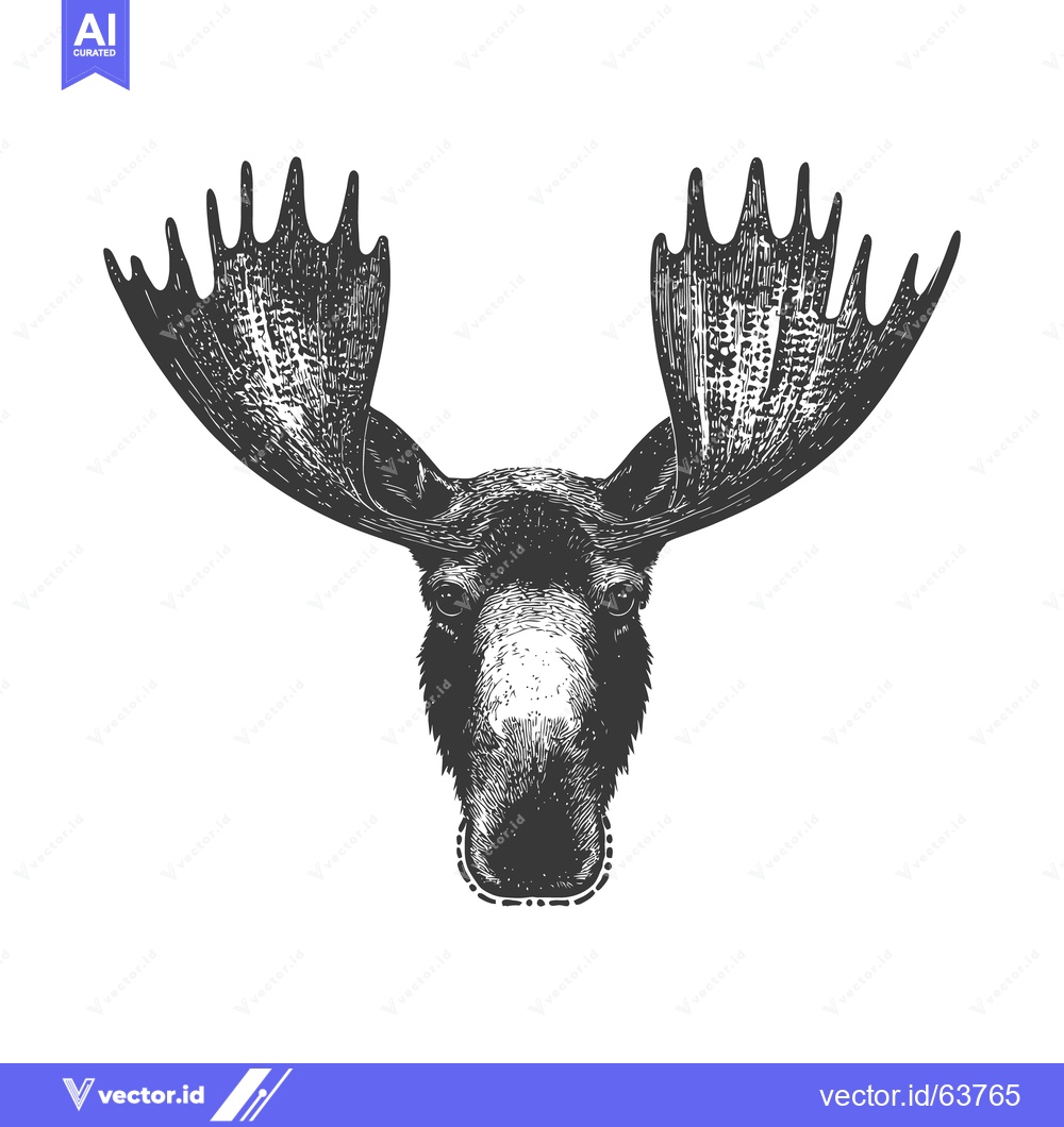 Premium Vector dari A detailed black and white sketch of a moose head with antlers